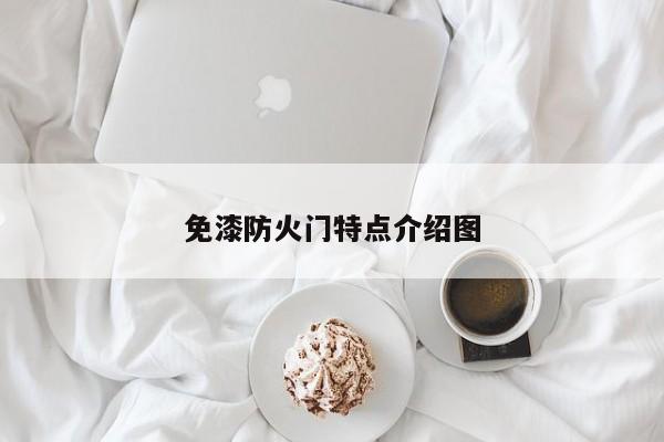 免漆防火门特点介绍图